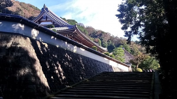 Exposition Shorei in Enkakuji Kamakura 11.2017 2