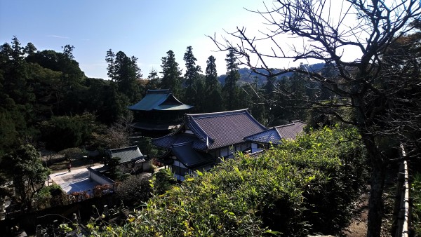 Exposition Shorei in Enkakuji Kamakura 11.2017 56