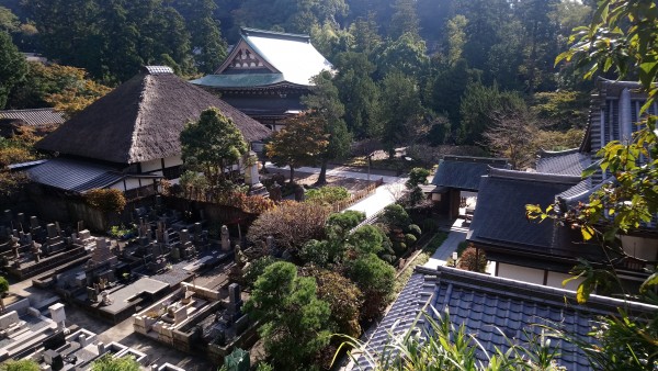 Exposition Shorei in Enkakuji Kamakura 11.2017 6