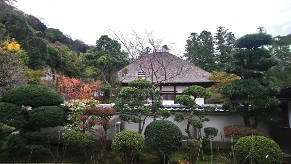 Exposition Shorei in Enkakuji Kamakura 11.2017 78