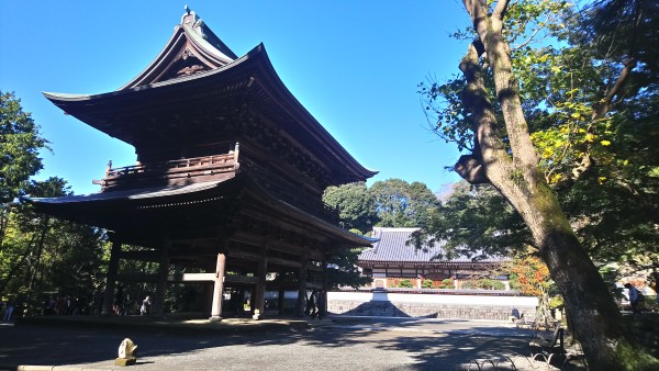 Exposition Shorei in Enkakuji Kamakura 11.2017 9