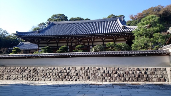 Exposition Shorei in Enkakuji Kamakura Japon 11.2017 6